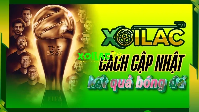 Cách cập nhật kết quả bóng đá nhanh chóng